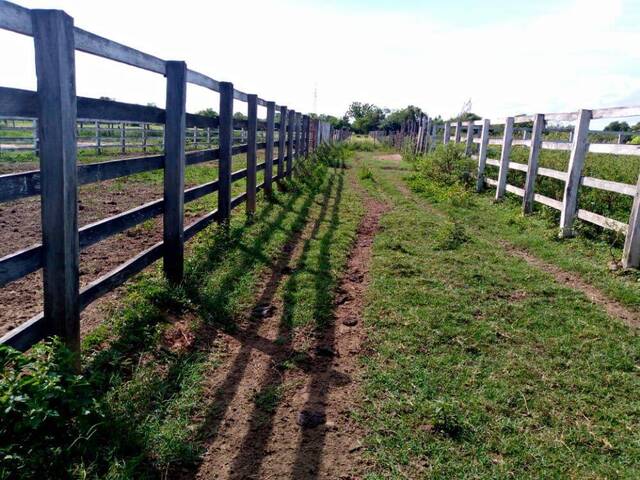 Granja para Venta en Maracaibo - 3