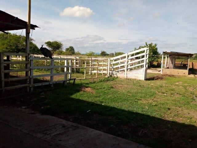 Granja para Venta en Maracaibo - 5