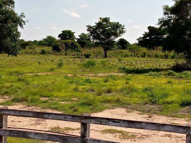 Granja para Venta en Maracaibo - 4