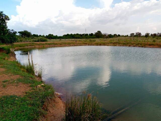 #179493 - Granja para Venta en Maracaibo - V - 2