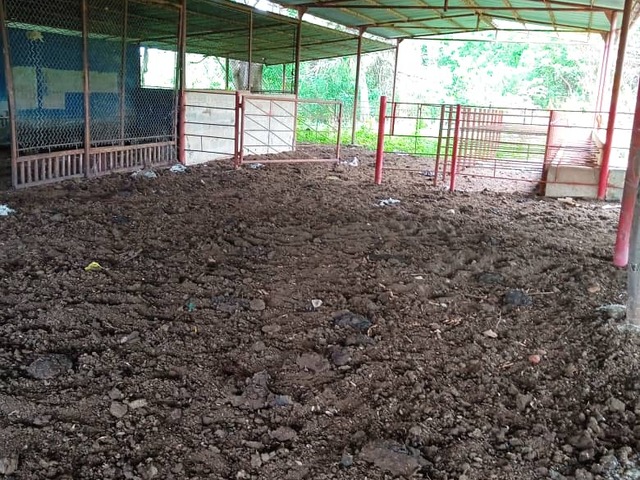 Granja para Venta en Maracaibo - 3